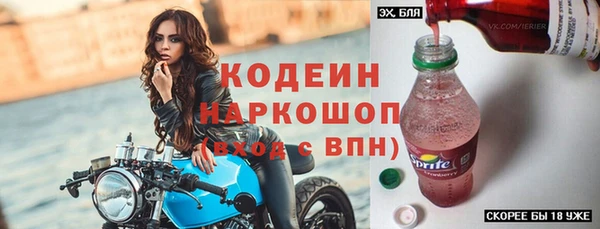 прущие грибы Коряжма