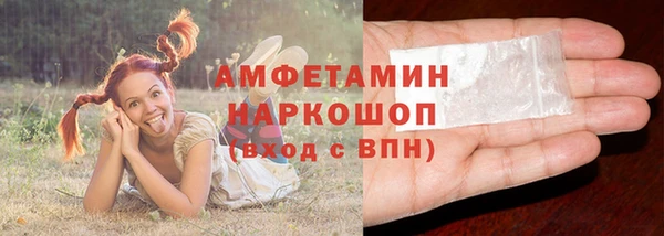 гашик Козловка