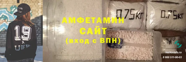 гашик Козловка