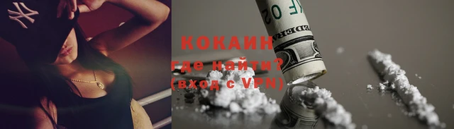 гашик Козловка