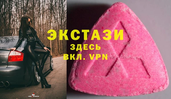 гашик Козловка