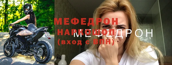 гашик Козловка