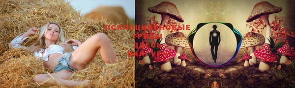 прущая мука Кодинск