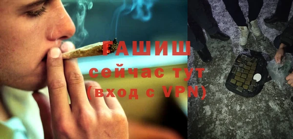 гашик Козловка